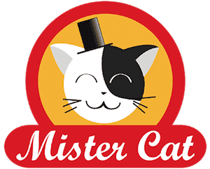 Mister Cat